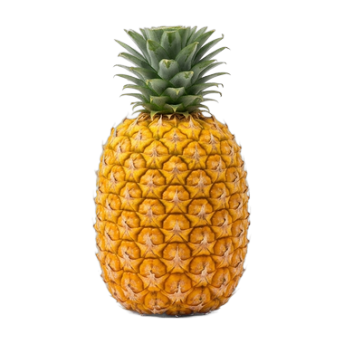 a pineapple
