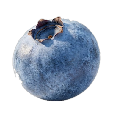 et blåbær