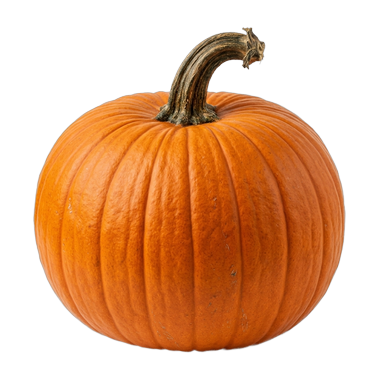 a big pumpkin