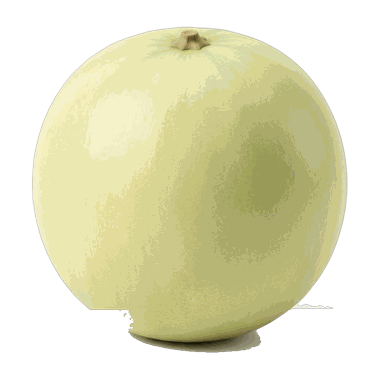 en honningmelon