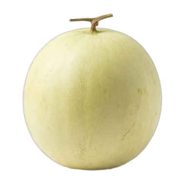 a honeydew melon