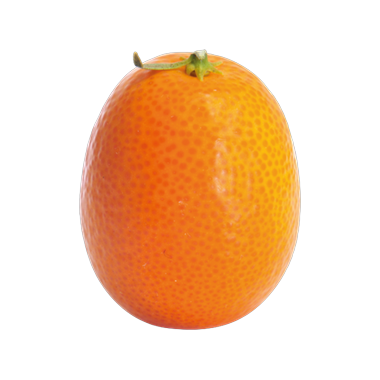 en kumquat