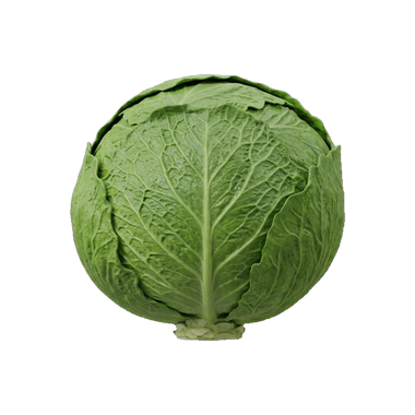 et salathoved