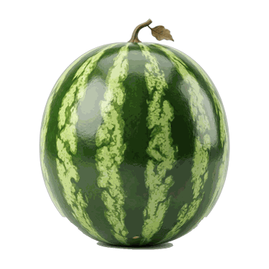 en vandmelon